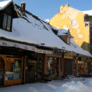 zakopane anemon