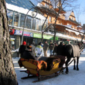 hotel sabała